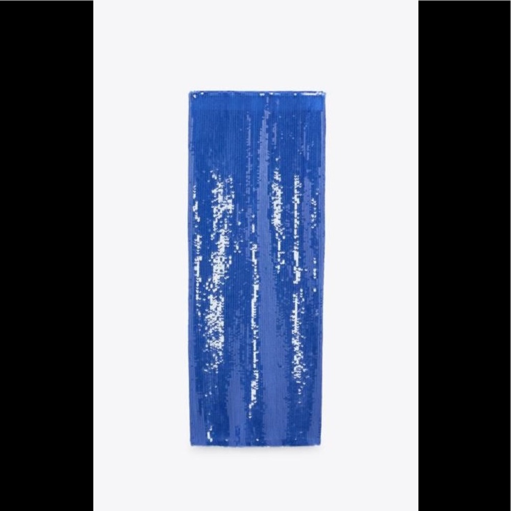 Zara sequin skirt